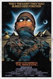 The Awakening 1980 on netflix