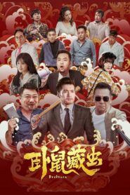 Brothers 2022 on netflix
