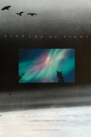 Picture of Light 1994 on netflix
