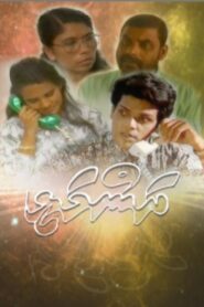 Dhanmalhi 1993 on netflix