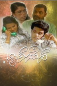 Dhanmalhi 1993 on netflix