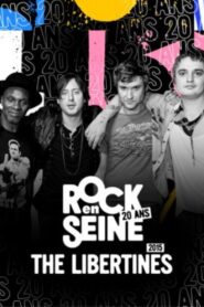 The Libertines – Rock en Seine 2015 2015 on netflix