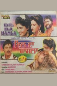 Dil Da Mamla 1992 on netflix