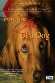 For the Love of a Dog 2008 on netflix