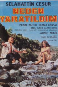 Neden Yaratıldım 1983 on netflix