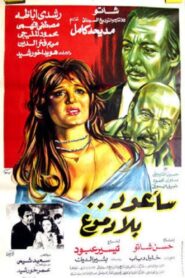 Sa’aoud Bila Domouo 1980 on netflix