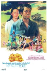 ประกาศิตจากหัวใจ 1981 on netflix