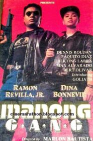 Manong Gang 1991 on netflix