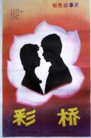 彩桥 1982 on netflix