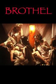 Brothel 2008 on netflix