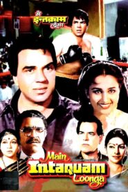 Main Inteqam Loonga 1982 on netflix