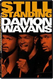 Damon Wayans: Still Standing 1997 on netflix