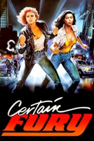 Certain Fury 1985 on netflix