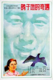 鸽子迷的奇遇 1987 on netflix