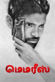 Memories 2023 on netflix