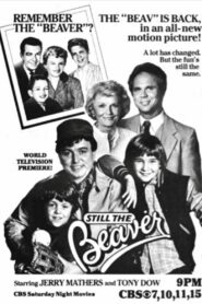 Still the Beaver 1983 on netflix