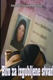 Lost and Found 2008 on netflix
