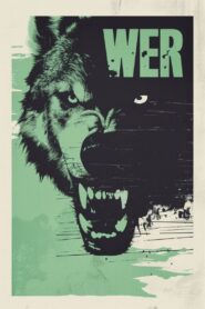 Wer 2013 on netflix
