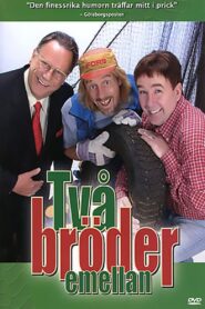 Två bröder emellan 2005 on netflix