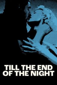 Till the End of the Night 2023 on netflix