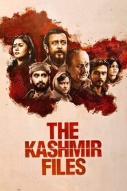 The Kashmir Files 2022 on netflix