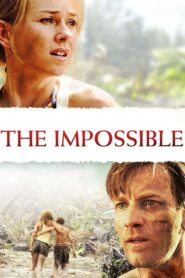 The Impossible 2012 on netflix