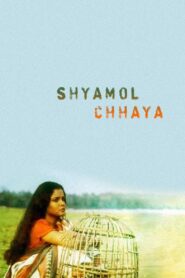 Shyamol Chhaya 2004 on netflix