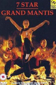 Sandong Female Water Seller 1983 on netflix