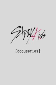 [Stray Kids: Festival Docuseries] 2024 on netflix