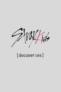 [Stray Kids: Festival Docuseries] 2024 on netflix