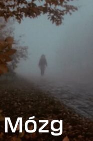 Mózg 1983 on netflix