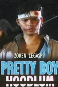 Pretty Boy Hoodlum 1991 on netflix