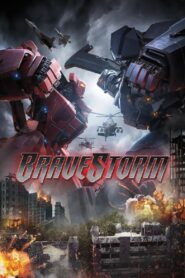 BraveStorm 2017 on netflix