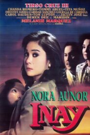 Inay 1993 on netflix