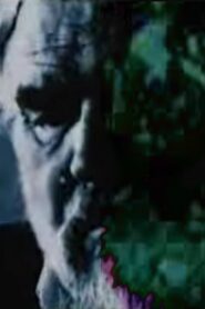Garden Path 2001 on netflix