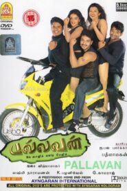 Pallavan 2003 on netflix