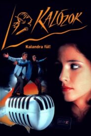 Pirates 1999 on netflix