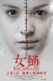 The Chrysalis 2012 on netflix