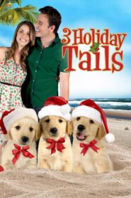 3 Holiday Tails 2011 on netflix