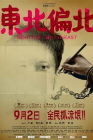 North by Northeast 2014 on netflix
