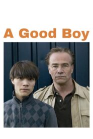A Good Boy 2008 on netflix