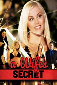 A Wife’s Secret 2014 on netflix