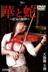 華と蛇　～狂気の旋律～ 2005 on netflix