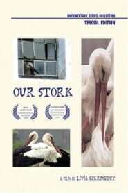 Our Stork 2000 on netflix