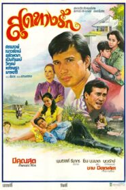 สุดทางรัก 1981 on netflix