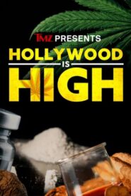 TMZ Presents: Hollywood is High 2024 on netflix