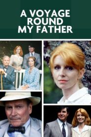 A Voyage Round My Father 1984 on netflix