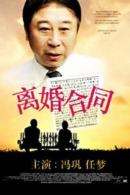 离婚合同 1990 on netflix