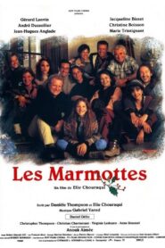 The Groundhogs 1993 on netflix