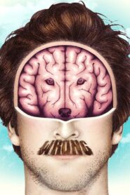 Wrong 2012 on netflix